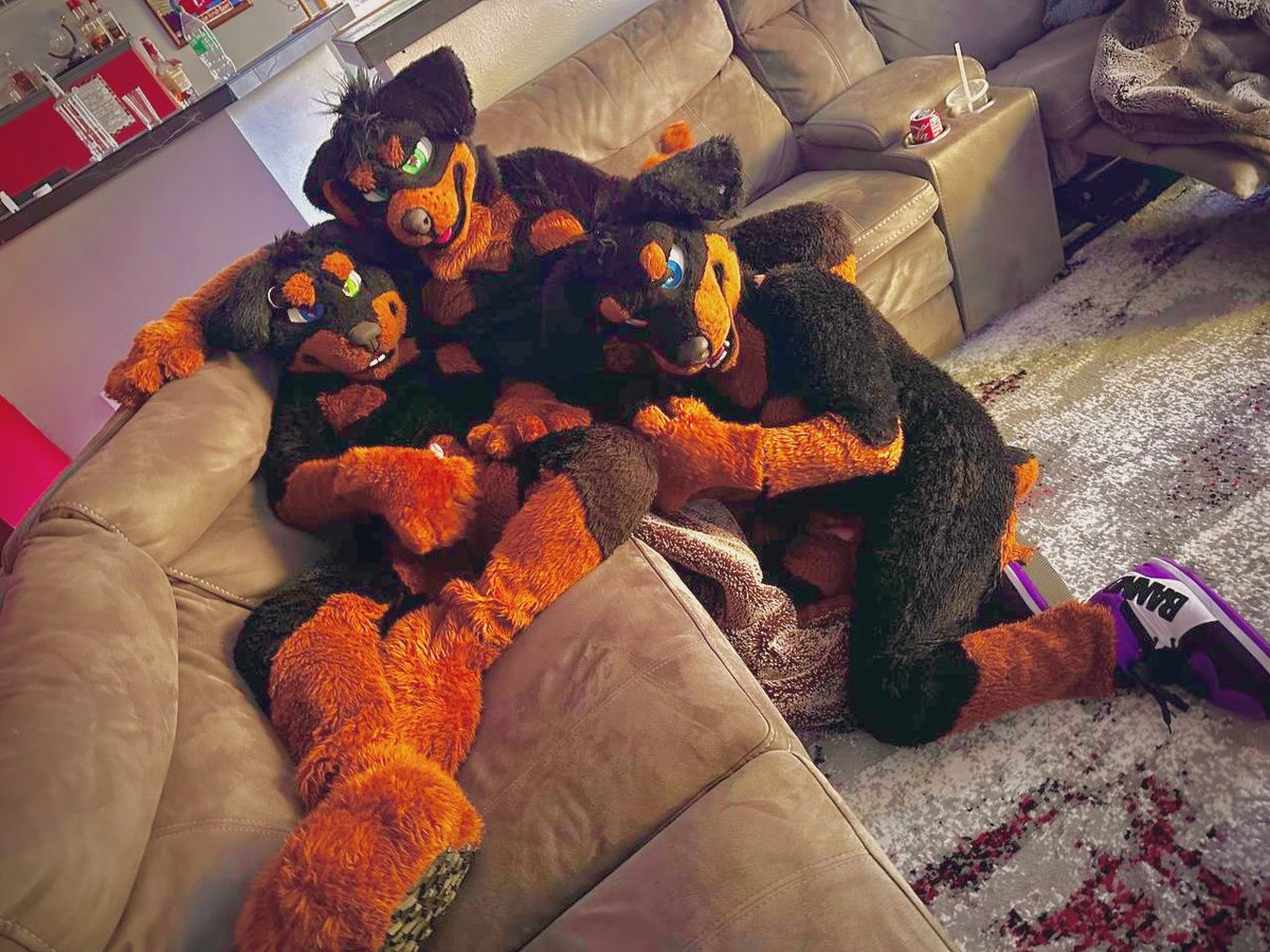 No words, just grrs 🔜FWA, Furwood, K9Campout tweet media