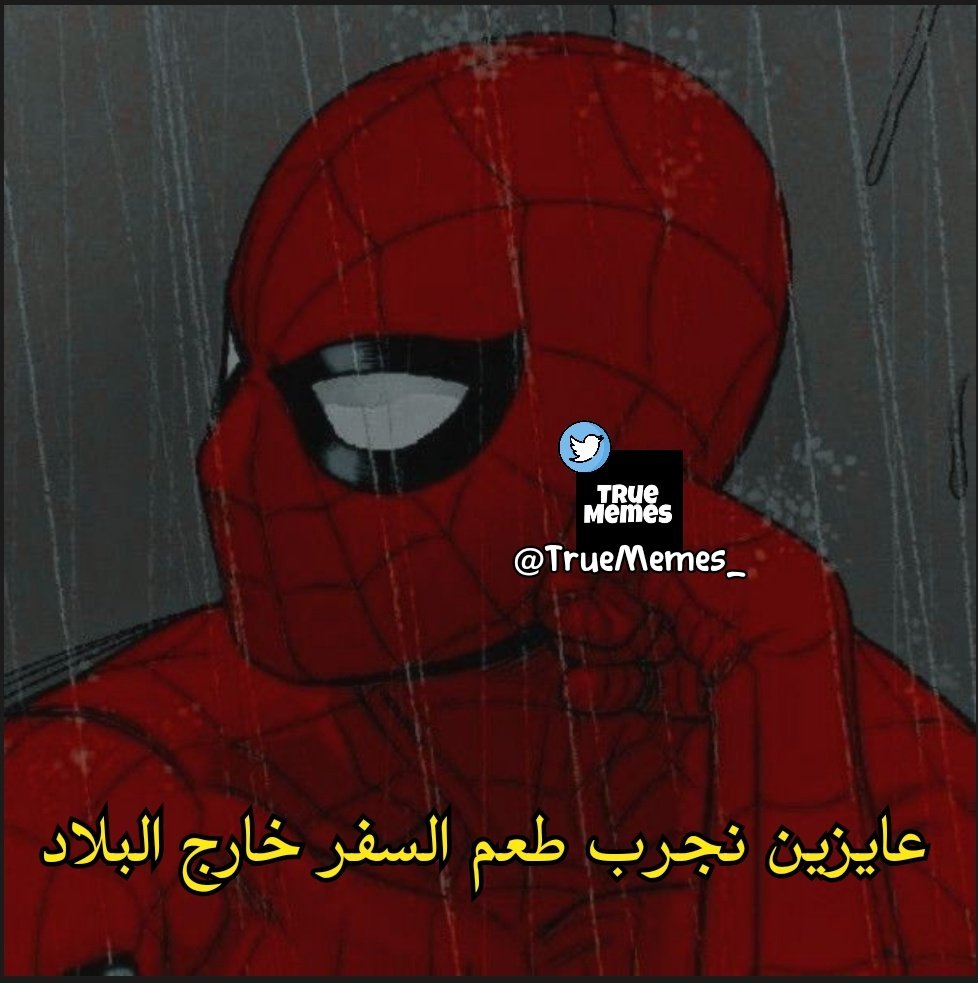 True Memes (@truememes_) on Twitter photo 