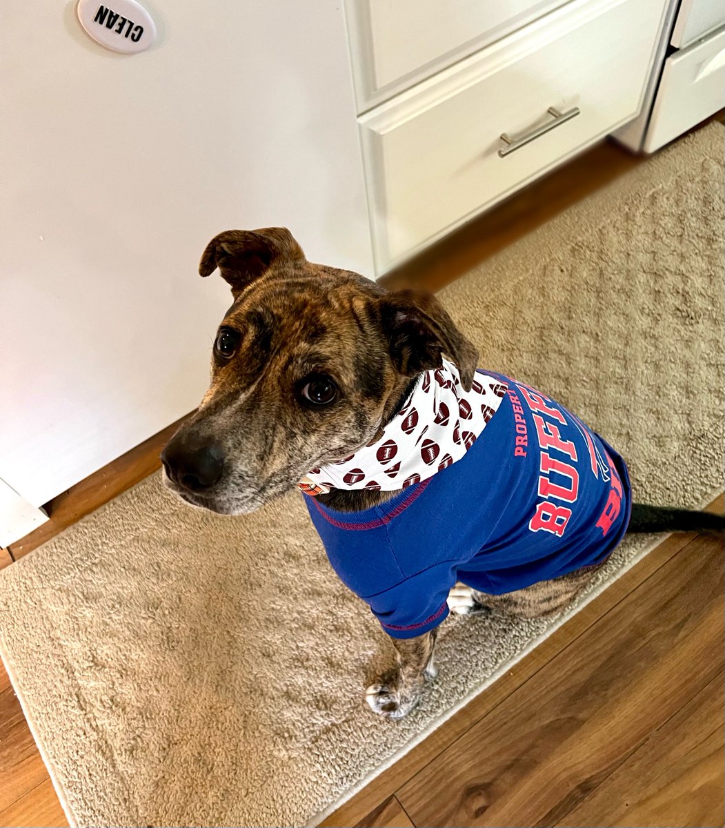 Allentown1711's tweet photo. #PoppyGrace #GameFit #billsmafia #GoBills 🦬🤍♥️💙🏈 https://t.co/EyywFt1Pkj