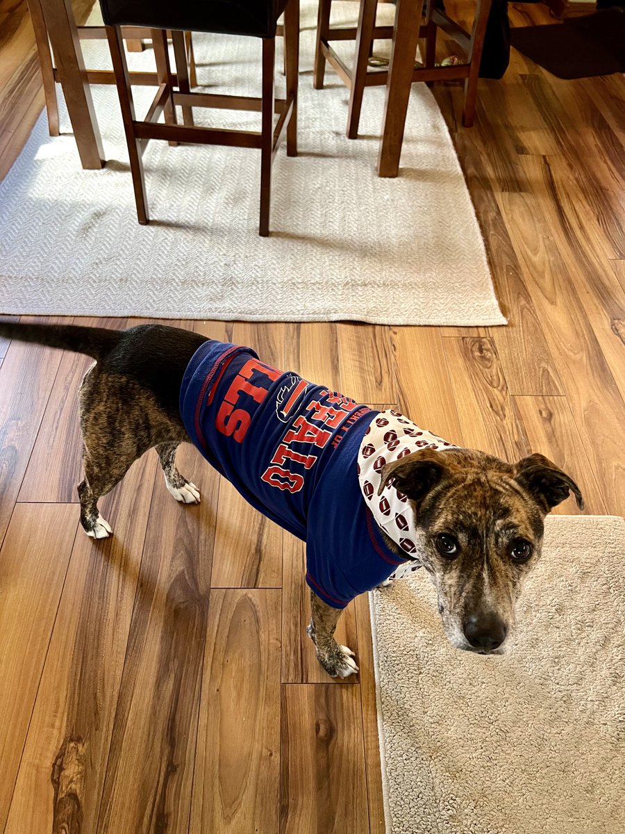 Allentown1711's tweet photo. #PoppyGrace #GameFit #billsmafia #GoBills 🦬🤍♥️💙🏈 https://t.co/EyywFt1Pkj