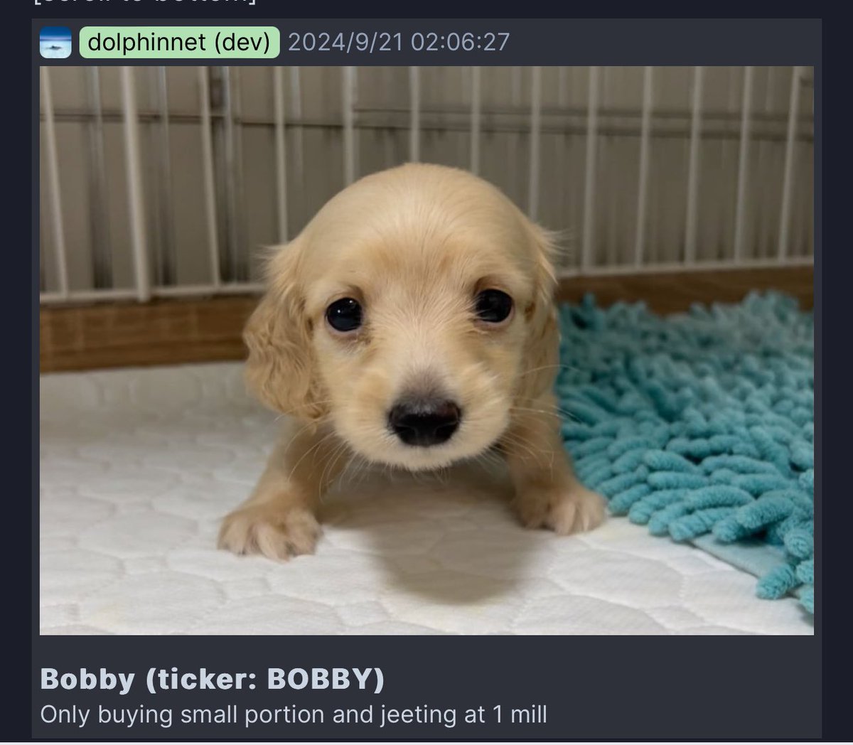 Same dog,why not og?

2nywmLSZhsLYAkJkedazC4Jq462RkSwcN6eY9AXvpump

 $Gibby  $Bobby