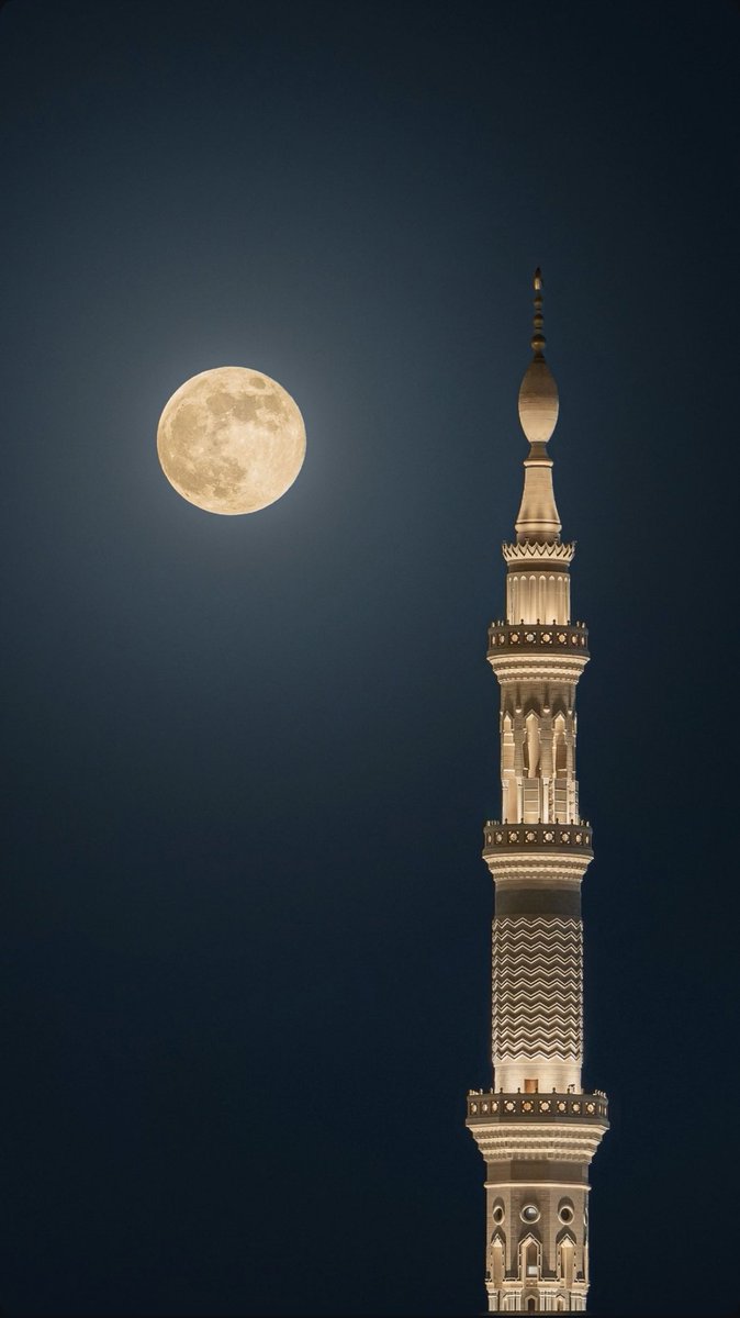 هيئة تطوير منطقة المدينة tweet media