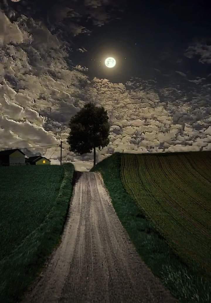 Όμορφο βράδυ σέ όλους 🌹🌙