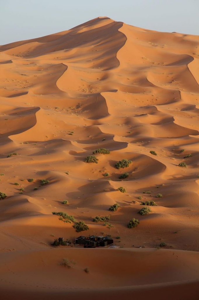 حنايا نحر زين الوصايف نحيل العود
سوافي نفودٍ لاهب القيض راسمها