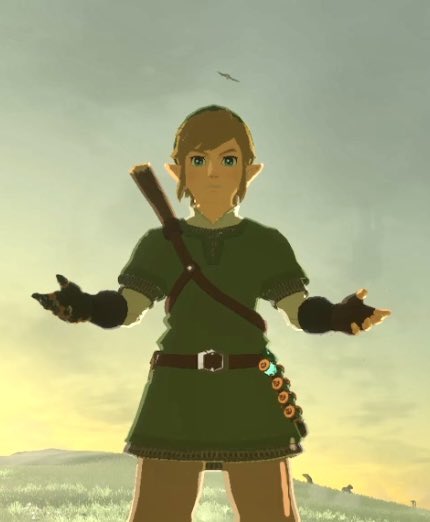 link talks in pretty much every zelda game 

it’s only those who are not pure of heart that can’t hear him (you)