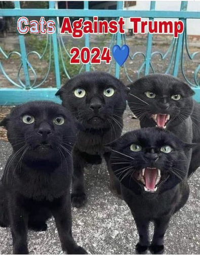 time4kind's tweet photo. .                                #MailVoteBlueEARLY
.                               Cats   .   WILL   .   Know 
. [My #BlueMailBallot was counted on Oct 10.] https://t.co/vOyBOHk1ev