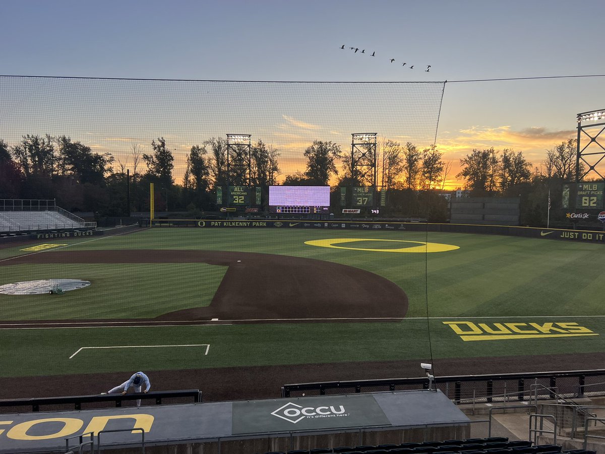 Dylan Mamiya (@mamiya_dylan) on Twitter photo Thank you University of Oregon Baseball <a href="/gavingrant__/">Gavin Grant</a> <a href="/CoachWazUO/">Mark Wasikowski</a> <a href="/Hink1544/">Marcus Hinkle</a> for the <a href="/NewLevel360/">New Level 360</a> team camp. Coach <a href="/JackMarder14/">Jack Marder</a> recruiting talk was🔥and as real as it gets! It’s always a blast to get to play at PK Park Thank you University of Oregon Baseball <a href="/gavingrant__/">Gavin Grant</a> <a href="/CoachWazUO/">Mark Wasikowski</a> <a href="/Hink1544/">Marcus Hinkle</a> for the <a href="/NewLevel360/">New Level 360</a> team camp. Coach <a href="/JackMarder14/">Jack Marder</a> recruiting talk was🔥and as real as it gets! It’s always a blast to get to play at PK Park