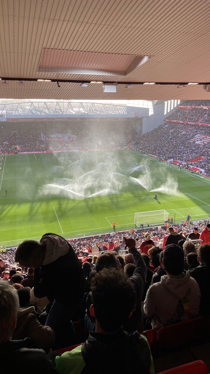 Ronan McCarthy tweet media