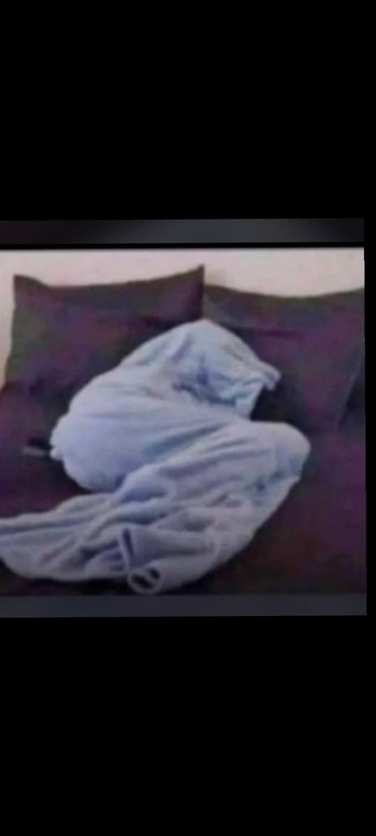 MRCHO_CHO's tweet image. Me because i didn&apos;t do $Zaar
But also participated in $FAIR 👑