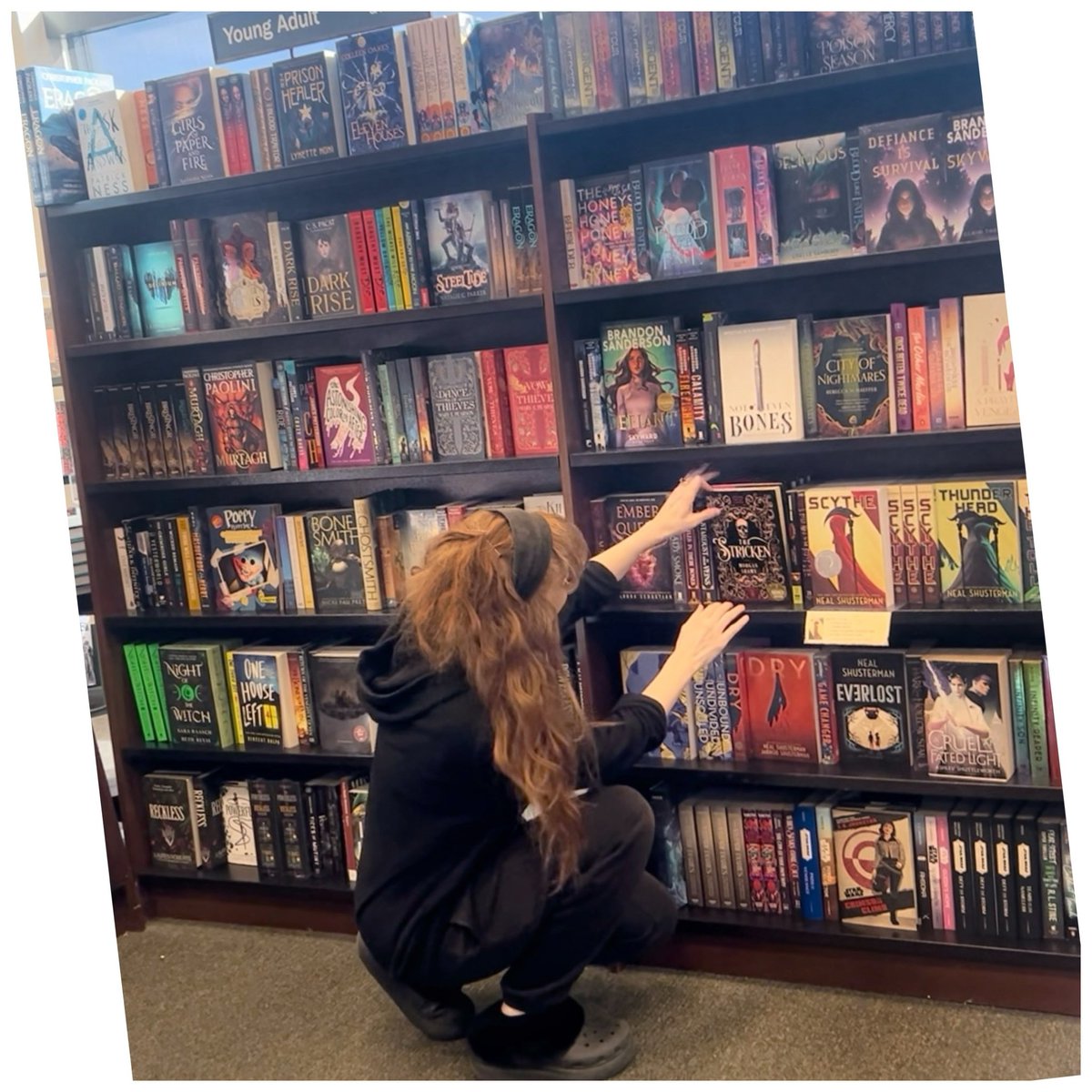 Morgan Shamy 🩰📖 tweet media