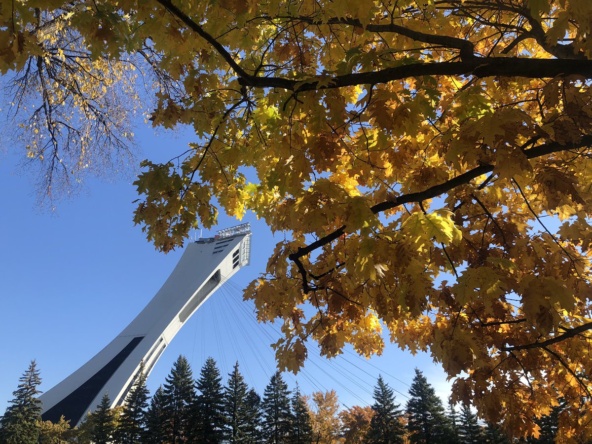 CL_opez's tweet photo. Even in the Fall, it was a lovely walk through the Botanical Gardens earlier today @EspacePourLaVie #mtlfall #mtlmoments https://t.co/InJtEE9Tmd