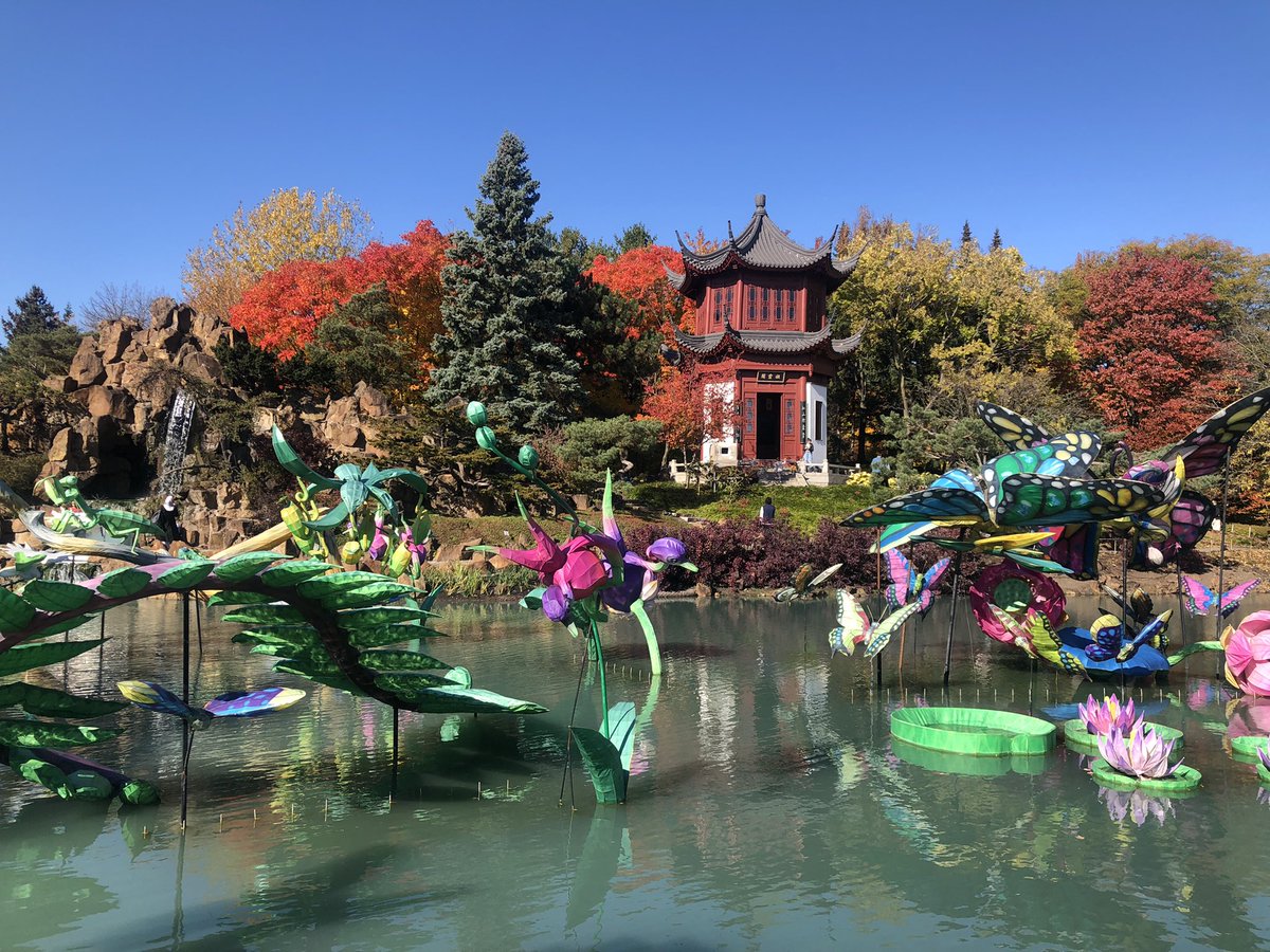 CL_opez's tweet photo. Even in the Fall, it was a lovely walk through the Botanical Gardens earlier today @EspacePourLaVie #mtlfall #mtlmoments https://t.co/InJtEE9Tmd