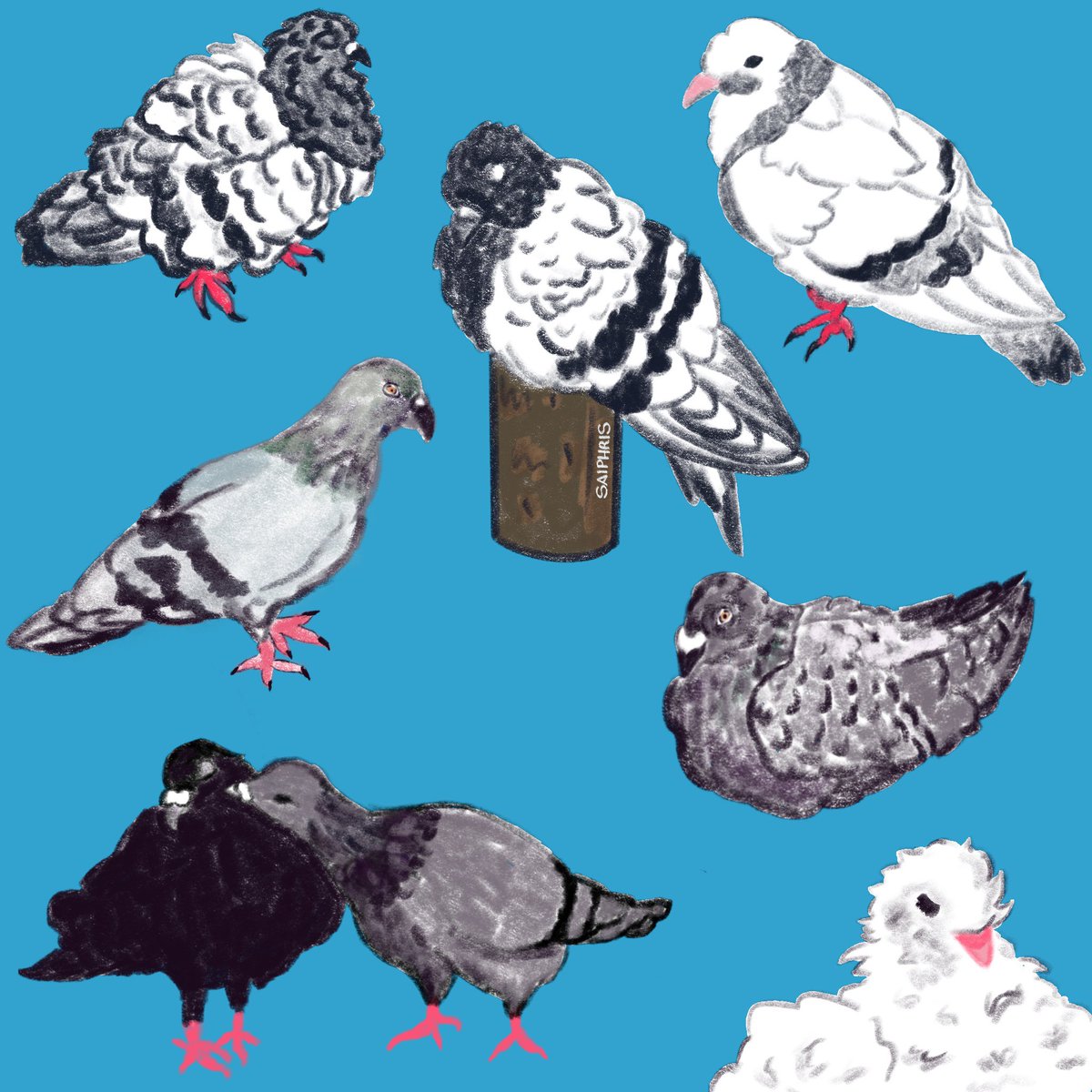 m a r l o 🐸🌷 tweet media