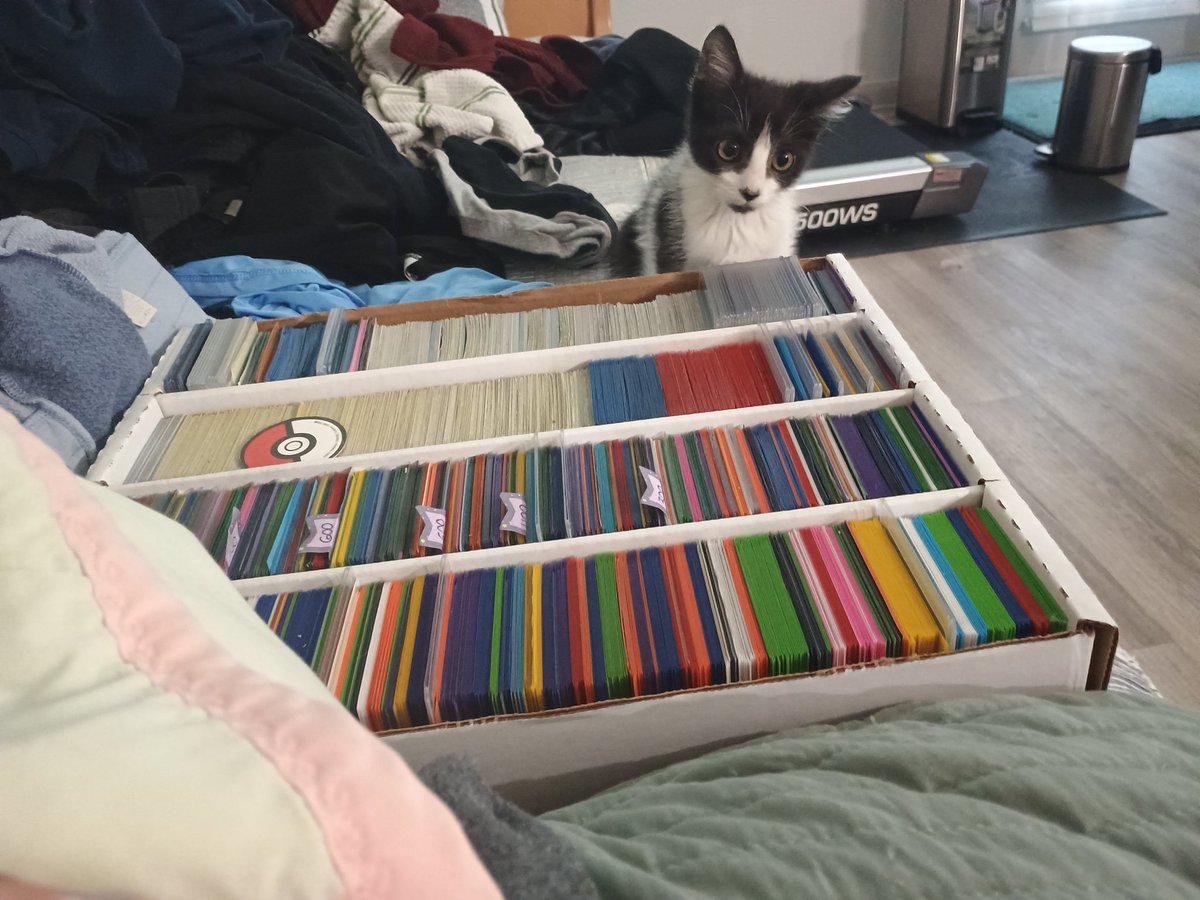 the Cagle Cats tweet media