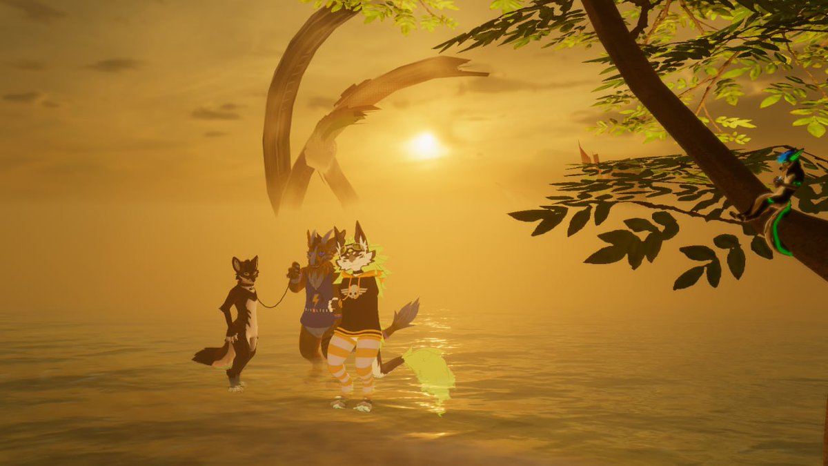 Volteer3 tweet picture