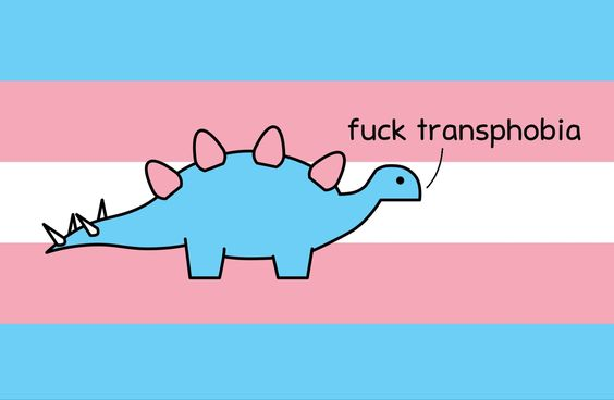 Ashley (@lunarrdestiny) on Twitter photo 