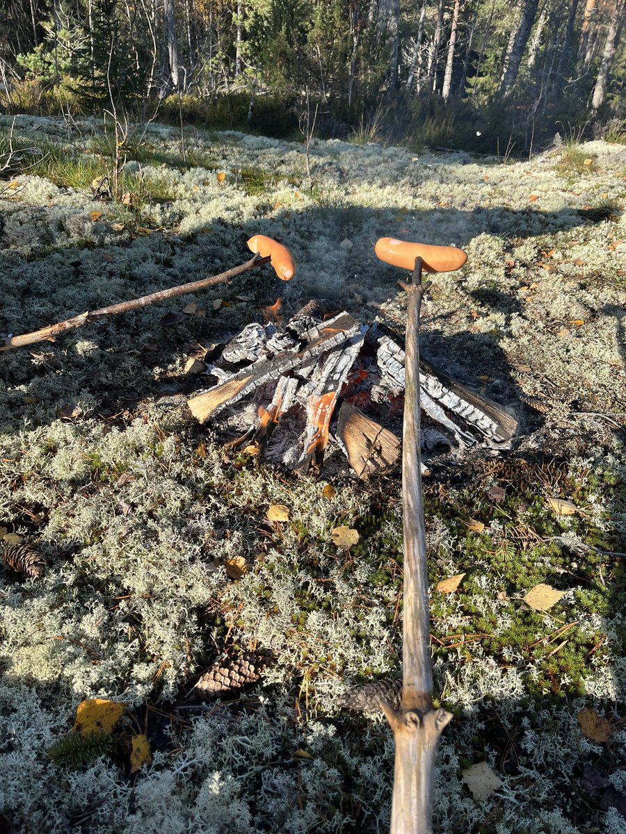 Sunnuntain metsäretki omaan metsään ja nuotiomakkarat 👌
Suomen luonto on kauniina lokakuussakin. Metsässä mieli tyyntyy ja tuleen tuijottelu voimaannuttaa aina maagisella tavalla.