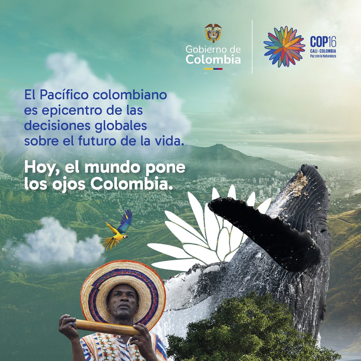 Por primera vez, una COP de biodiversidad va a generar una instancia abierta, plural y democrática. Serán más de 350.000 m2 para que actores de todo el 🌎 puedan impulsar la protección de la biodiversidad e incidir en las negociaciones desde el Pacífico colombiano. #COP16Colombia