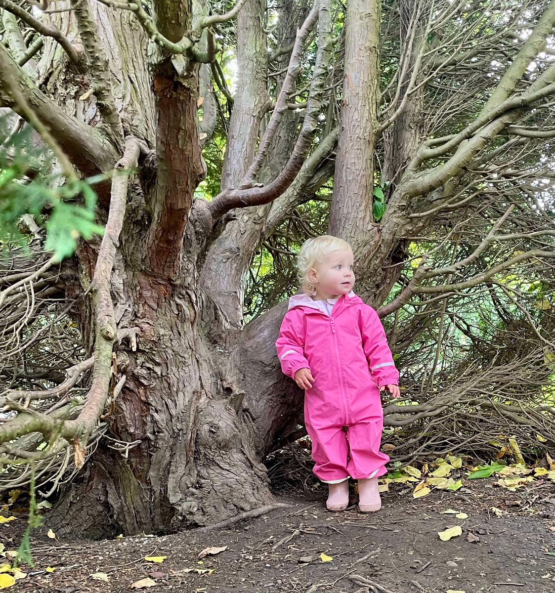 SallyHoyle26's tweet photo. ❤️🍂 our little Mollie is growing up too fast @lewishoyle1 https://t.co/gxL3Gr3Mvp