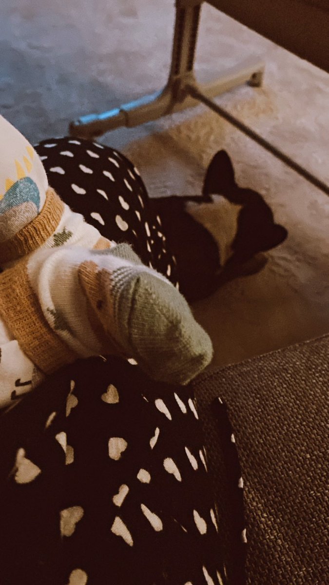 My little friends🩷