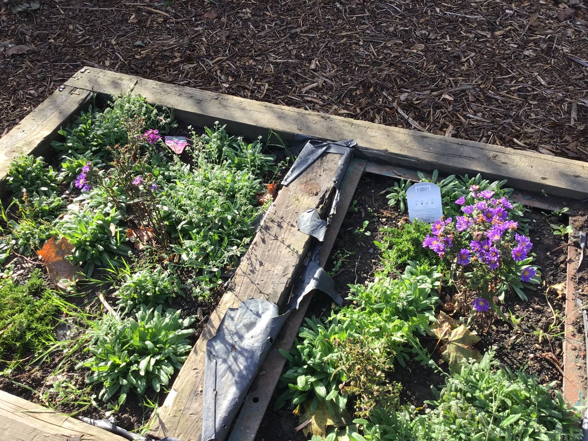 Mrs Earnshaw tweet media