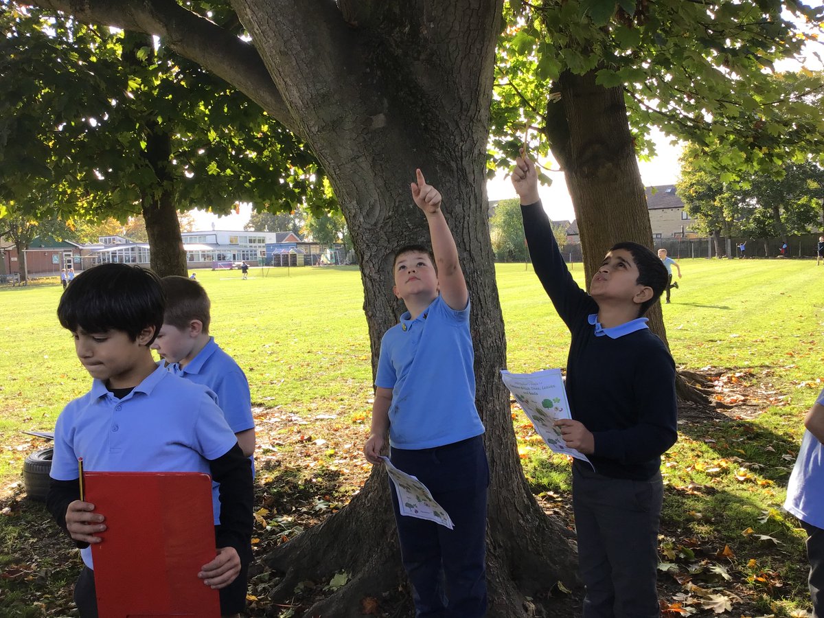 Mrs Earnshaw tweet media