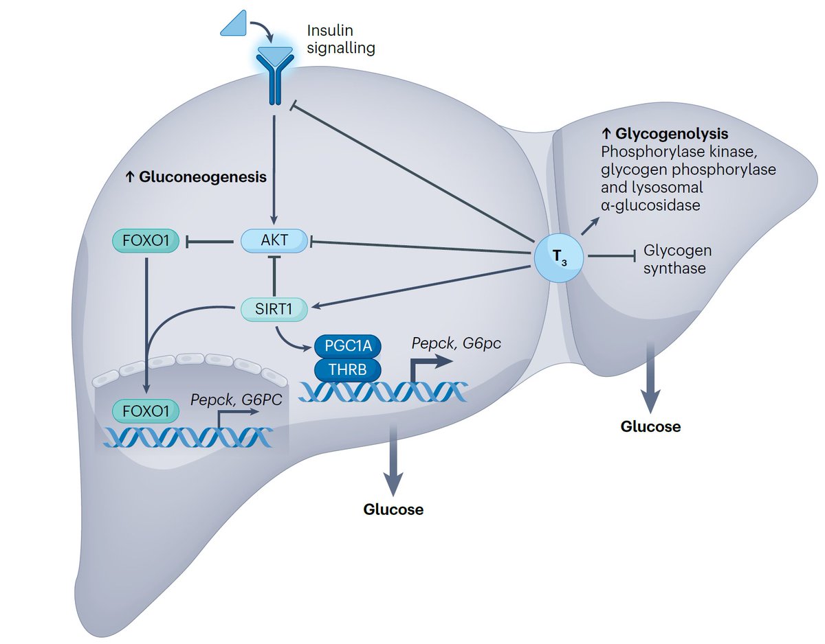Scott Isaacs tweet media