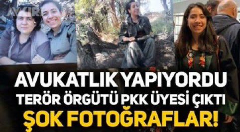 kulaguhan's tweet photo. Türkiye’de pkk’lı doktor, avukat, öğretmen, vekil istemiyoruz!

Kıyafetleri değişsede, ruhlarındaki Türk düşmanlığı asla gizlenemez; her biri bu Vatanın düşmanıdır. https://t.co/BduF0K6PAx