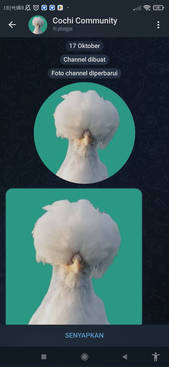 Key🐉 $MON tweet media