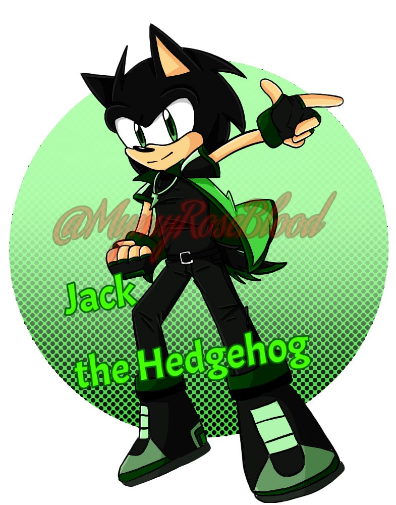 ⚡️Jack-Hedgehog⚡️ tweet media