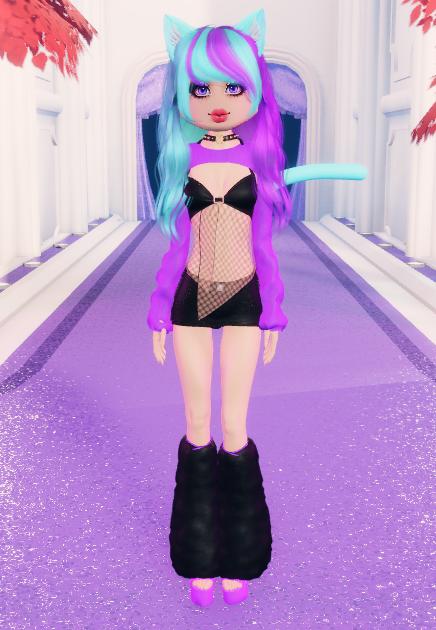 ✨Primba✨ || 😺 tweet media