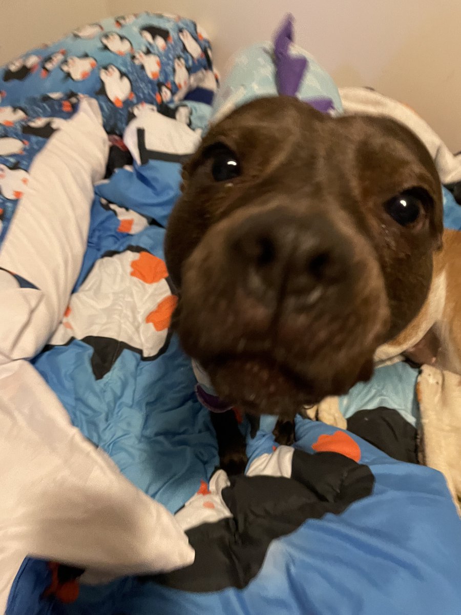 Ne0nHalo tweet media