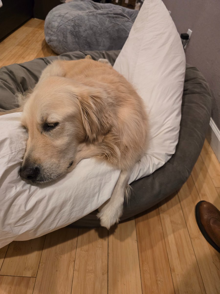 May we all find the same deep satisfaction as Penny with her body pillow.