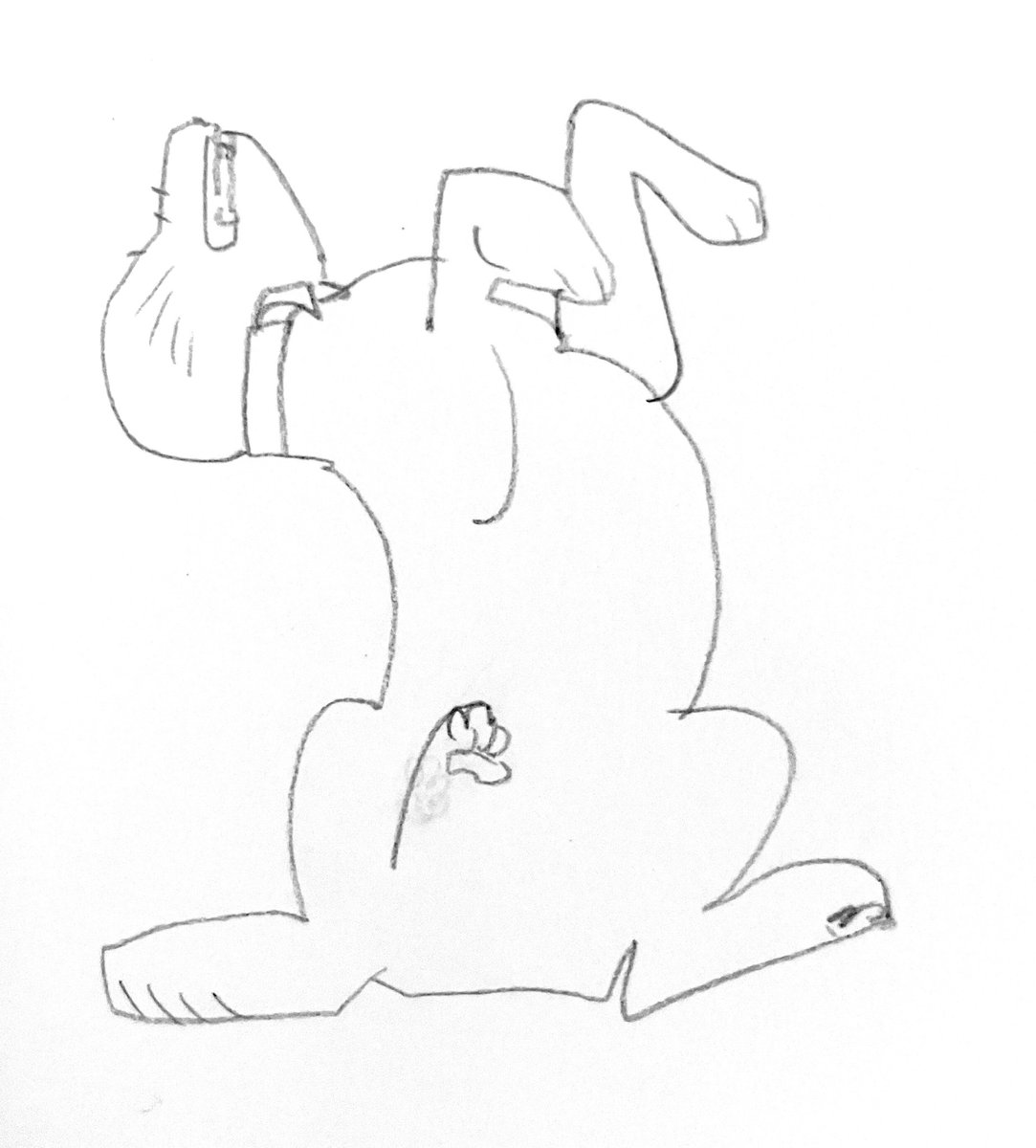 glavilio's tweet photo. portrait of my dog in her rampant pose https://t.co/QPiodjtrrH