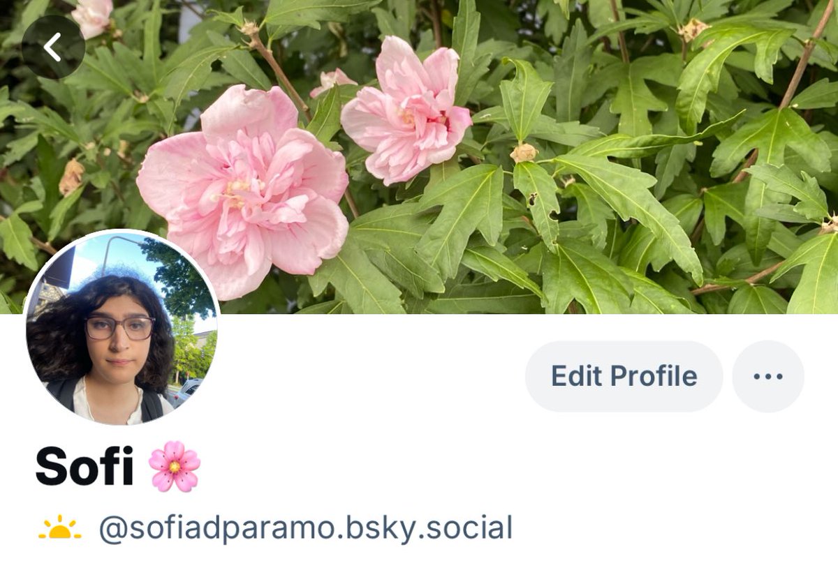 Sofía D. Páramo 🌸 tweet media