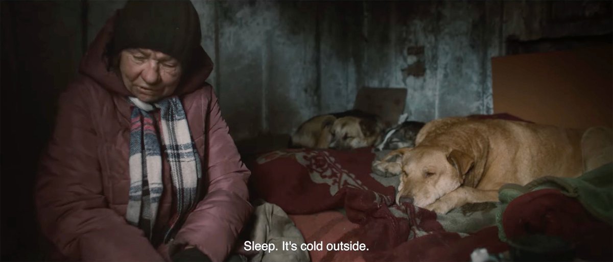 firstshowing's tweet photo. Official Trailer for 'Dreaming Dogs' Doc About Stray Dogs in Moscow https://t.co/68rN0QgjOn via @TheFilmStage
#docs #DreamingDogs #dogs #Viennale #strays https://t.co/nHfZgqPNeZ