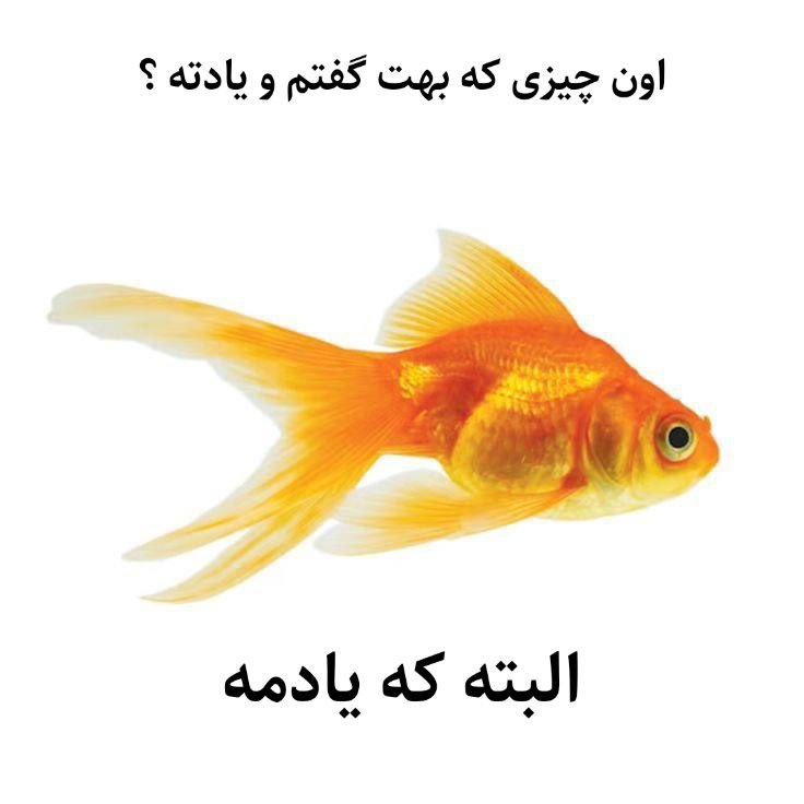 ren (@megu33i) on Twitter photo 