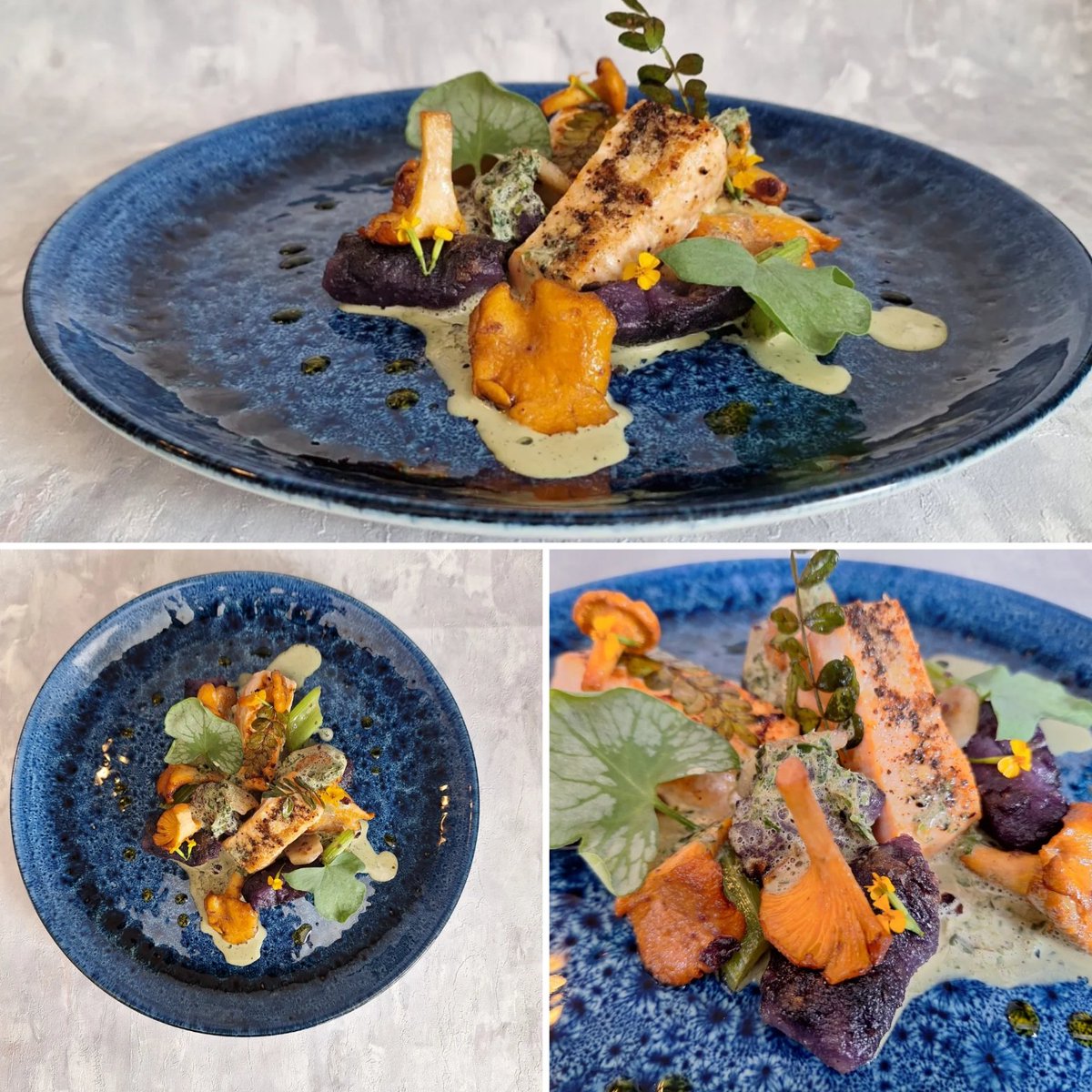 keepitcooking1's tweet photo. Simply Salmon with Autumn vegetables, mushrooms, aromats and a few more ingredients I used. 

#keepitcooking
#kitchensessions 
#foodstyling
#FoodPhotography https://t.co/lGdHDYx4Vf