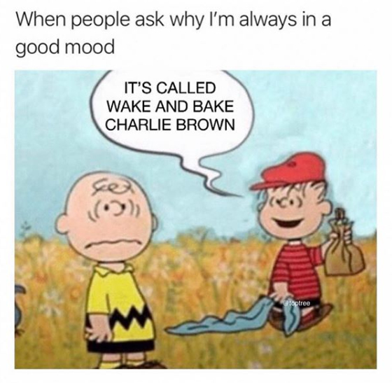 Stoner Jesus™ (@stonerjesus420) on Twitter photo 