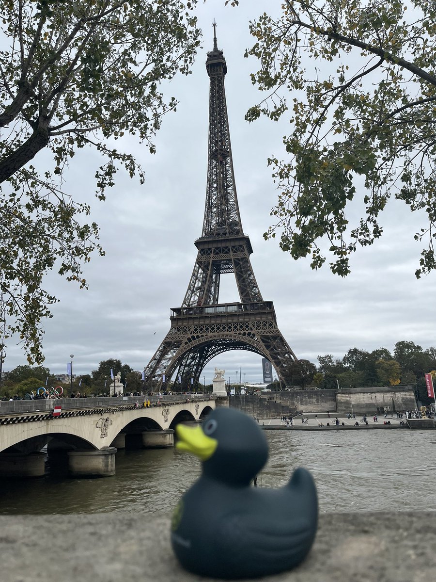 croydonhighart's tweet photo. Loving the sites of Paris ❤️❤️🦆#DucksOnTour #Chsturns150 @CroydonHigh @croydonhighart https://t.co/lU7mr6iOiu