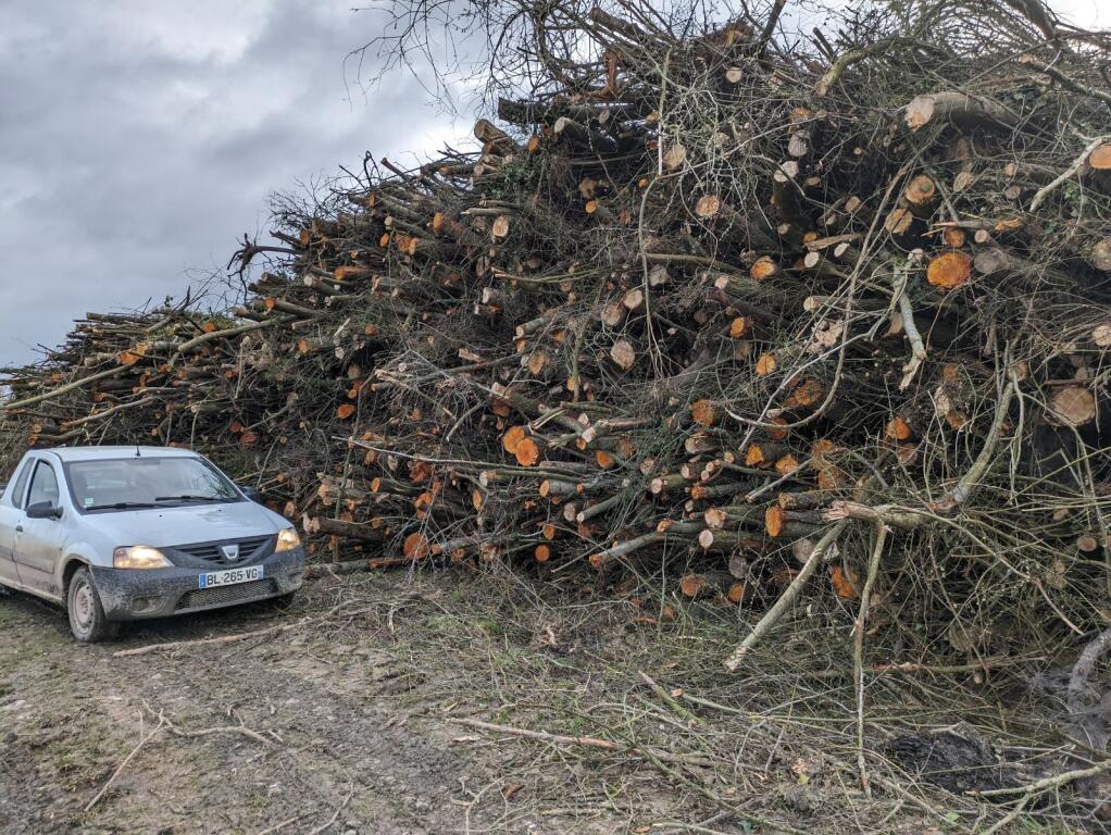 hub_observateur's tweet photo. @agrikol Pour les rivières quand il y a tous les 20 m du bois mort dans le cour d'eau il faut mieux le sortir idem pour les arbres qui vont tomber . Combien de pont à 2 3 millions d 'euros il va falloir refaire car fragilisés par les coups de bélier des arbres morts poussés par le courant https://t.co/fc4xRUutbP