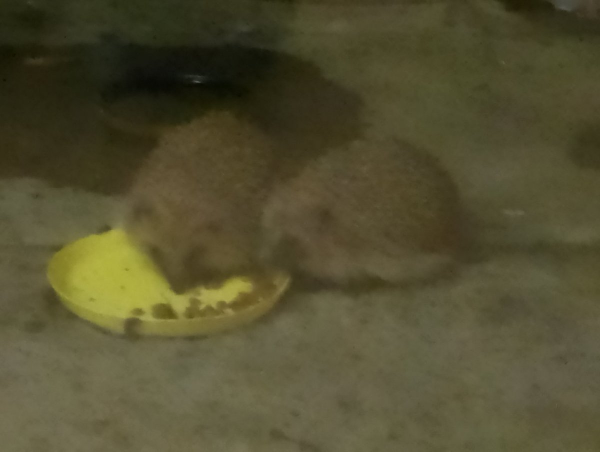 Look - I am not alone here tonight!