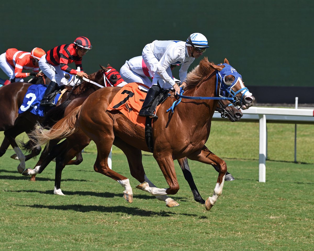 Gulfstream Park tweet media
