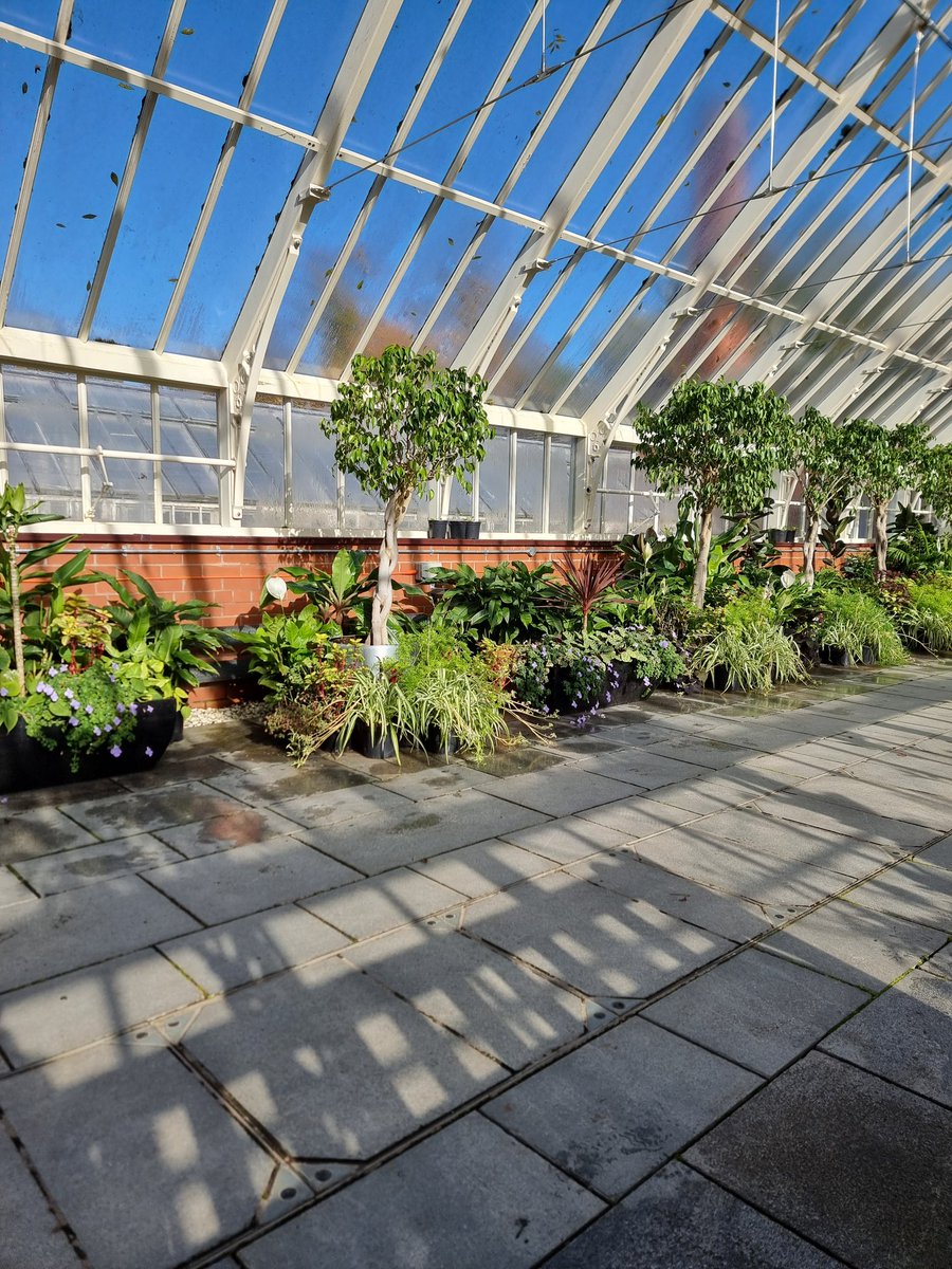 whichxwitch's tweet photo. pigeons plants and a little devil 🥰 https://t.co/dk8SVvcQ80