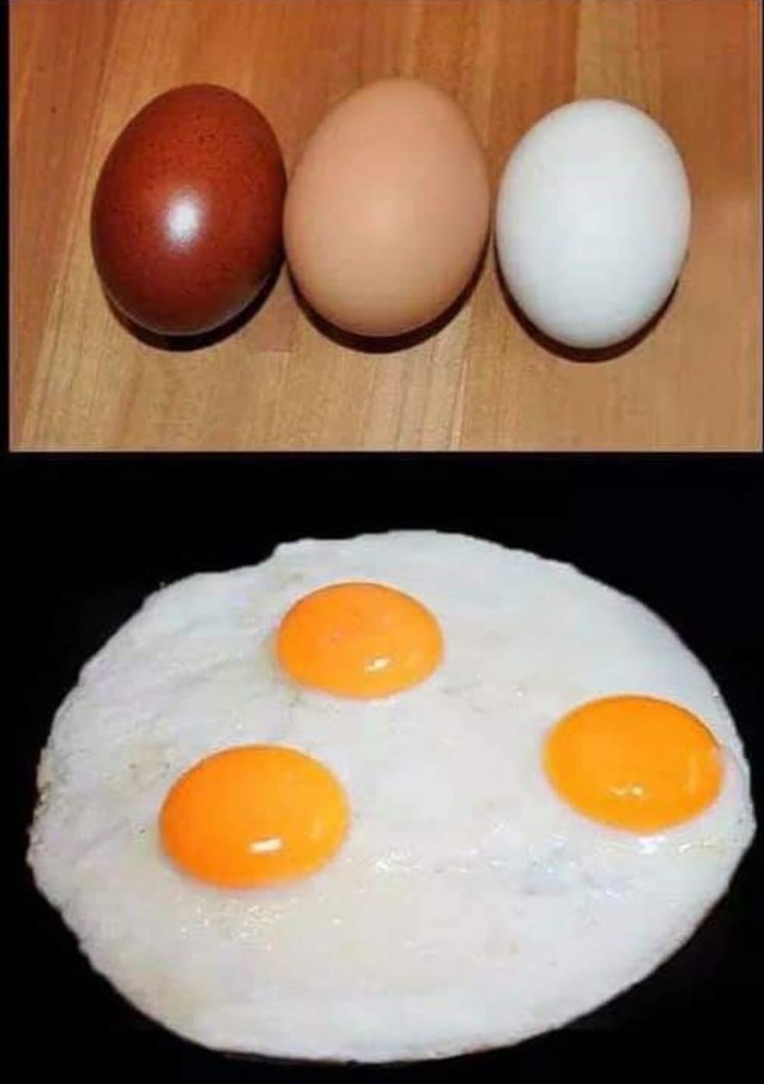 I see I've had the racists in my feed &amp; dms all day.

They can't do their best 'racisting' on empty stomach so I've fried them some eggs.

Bon appétit 😊 🏴󠁧󠁢󠁥󠁮󠁧󠁿🇬🇧