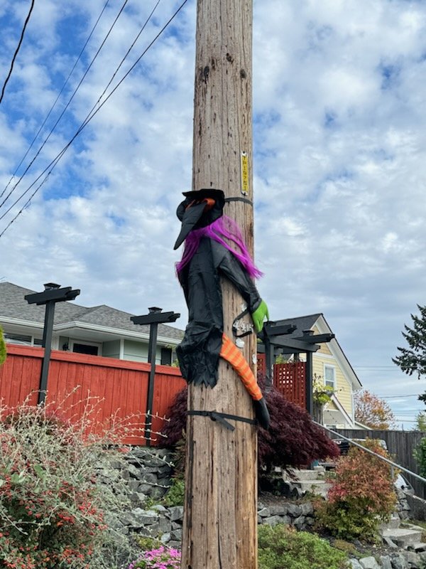 OnlyHalfAMonkey tweet media