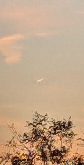 Comet tonight show from Prospect Lefferts Gardens, Brooklyn #comet #cometnyc #cometbrooklyn #plg #prospectleffertsgardens #brooklyn