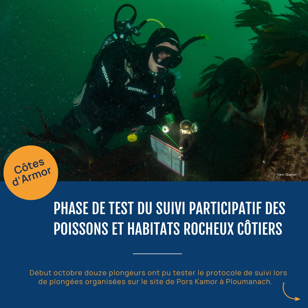 Association APECS tweet media