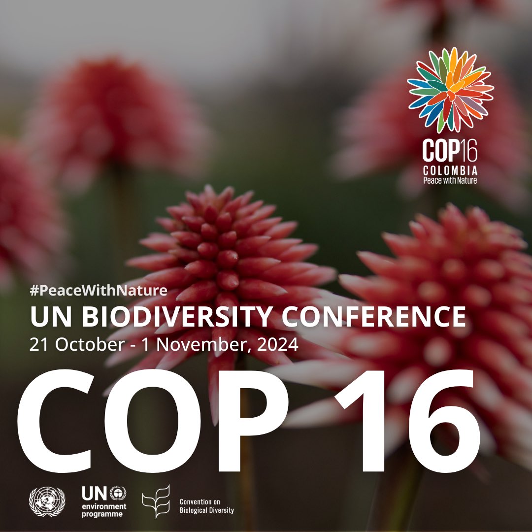 antonioguterres's tweet image. For humanity to thrive, nature must flourish.
‌
Destroying nature inflames conflict, hunger &amp;amp; disease, fuels poverty, inequality &amp;amp; the climate crisis.
‌
The Global Biodiversity Framework promises to reset relations with Earth.
‌
The task of #COP16Colombia is to convert words into…
