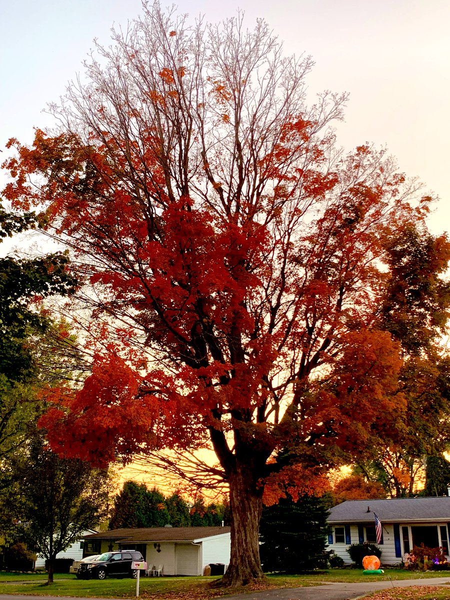 prepare for my ultra midwest emo pop punk sad girl autumn banger of an album that i’m gonna make after taking this perfect album cover tonight. might even add a blegh and panic chord